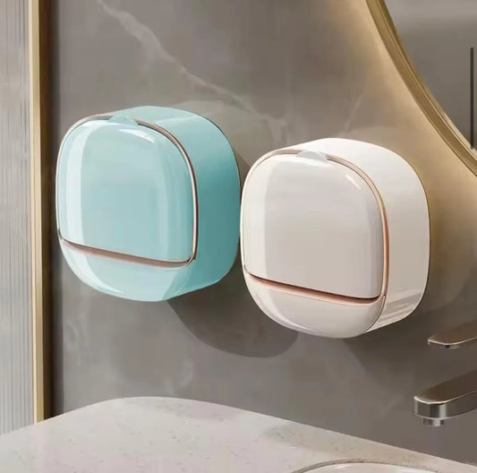 Wall Mounted Dual Container Soap Dispenser